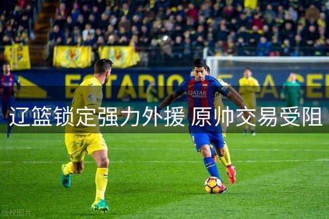 辽篮锁定强力外援 原帅交易受阻 男篮阵容或将补强